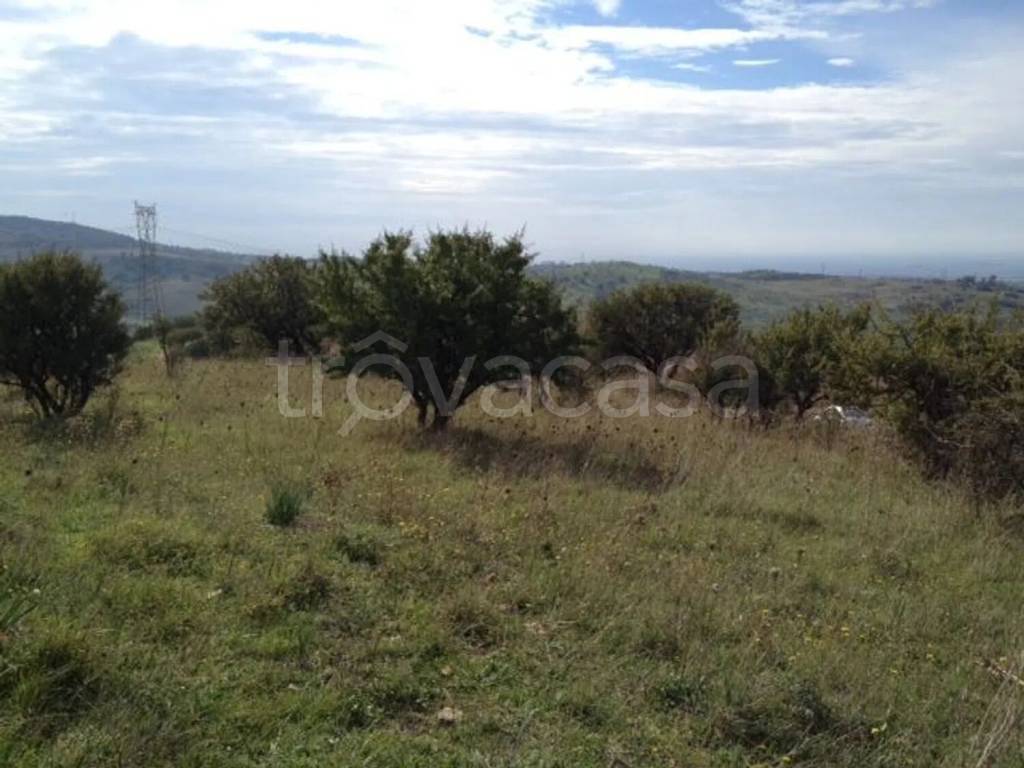 immagine annuncio 10 di 14