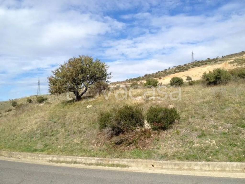 immagine annuncio 11 di 14