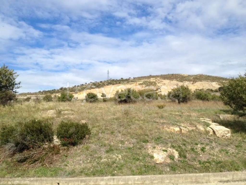 immagine annuncio 12 di 14