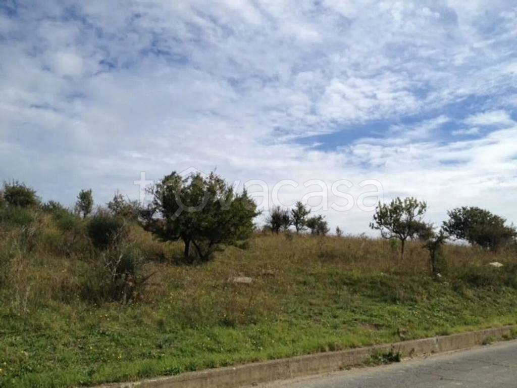 immagine annuncio 13 di 14