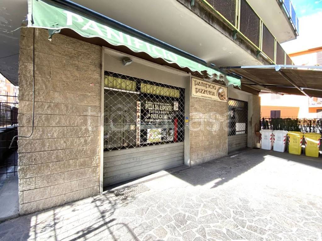 immagine annuncio 3 di 7