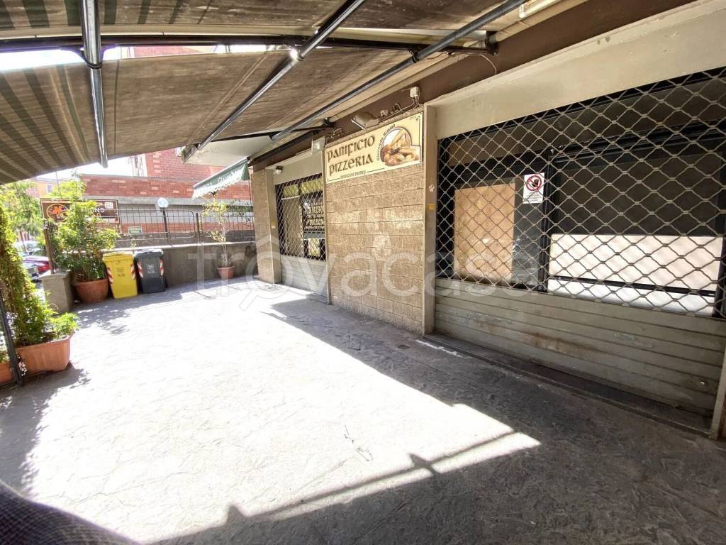 immagine annuncio 4 di 7