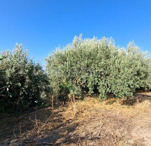 immagine annuncio 7 di 9