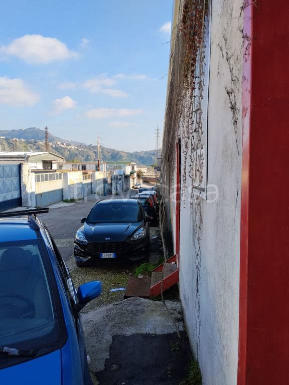 immagine annuncio 5 di 11