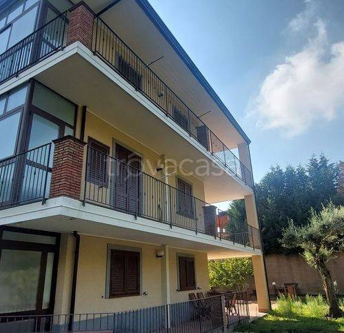 immagine annuncio 3 di 12