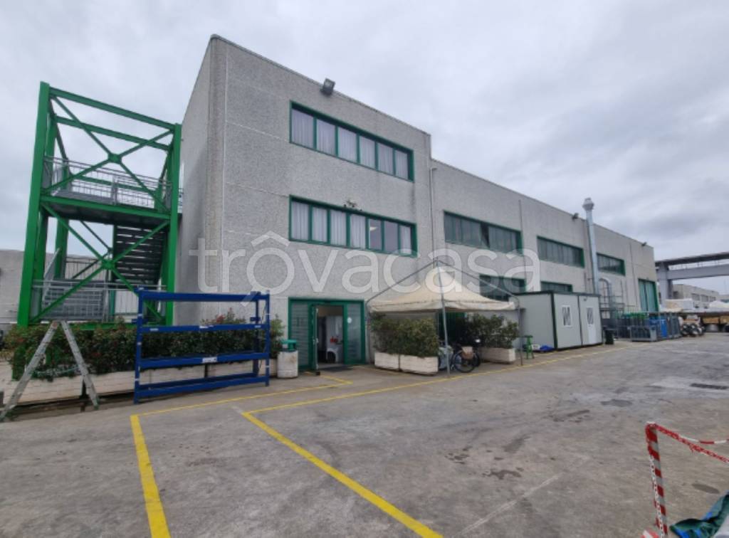 immagine annuncio 1 di 11