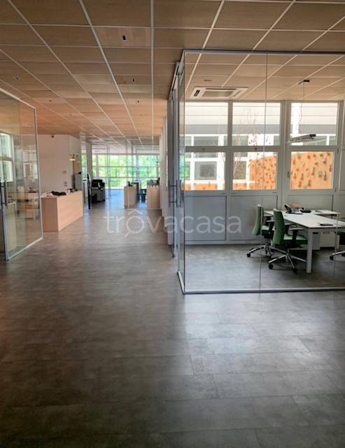 immagine annuncio 3 di 6