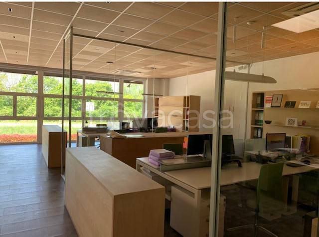 immagine annuncio 4 di 6