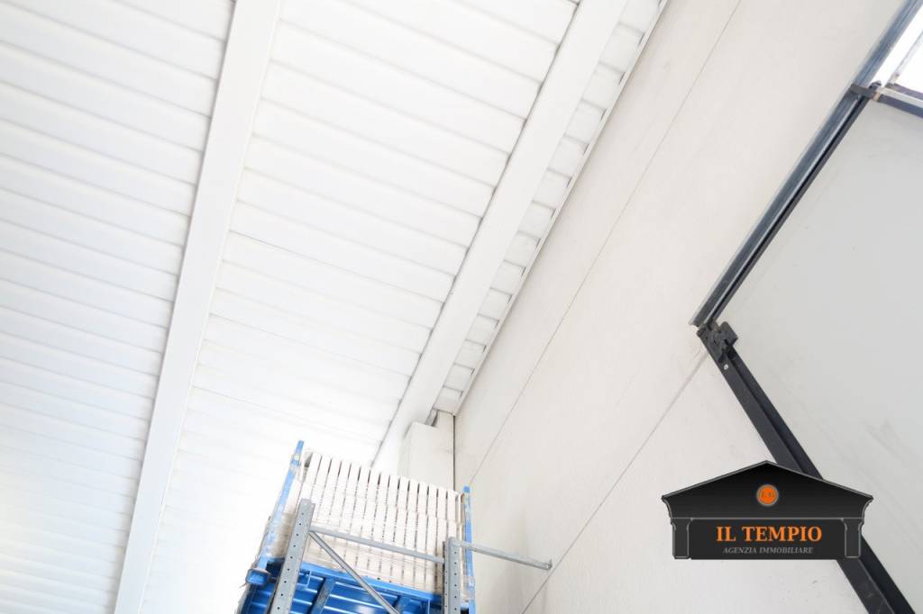 immagine annuncio 3 di 9