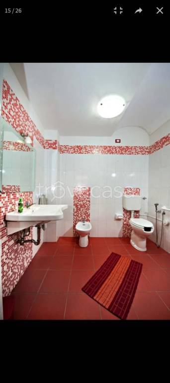 immagine annuncio 7 di 12