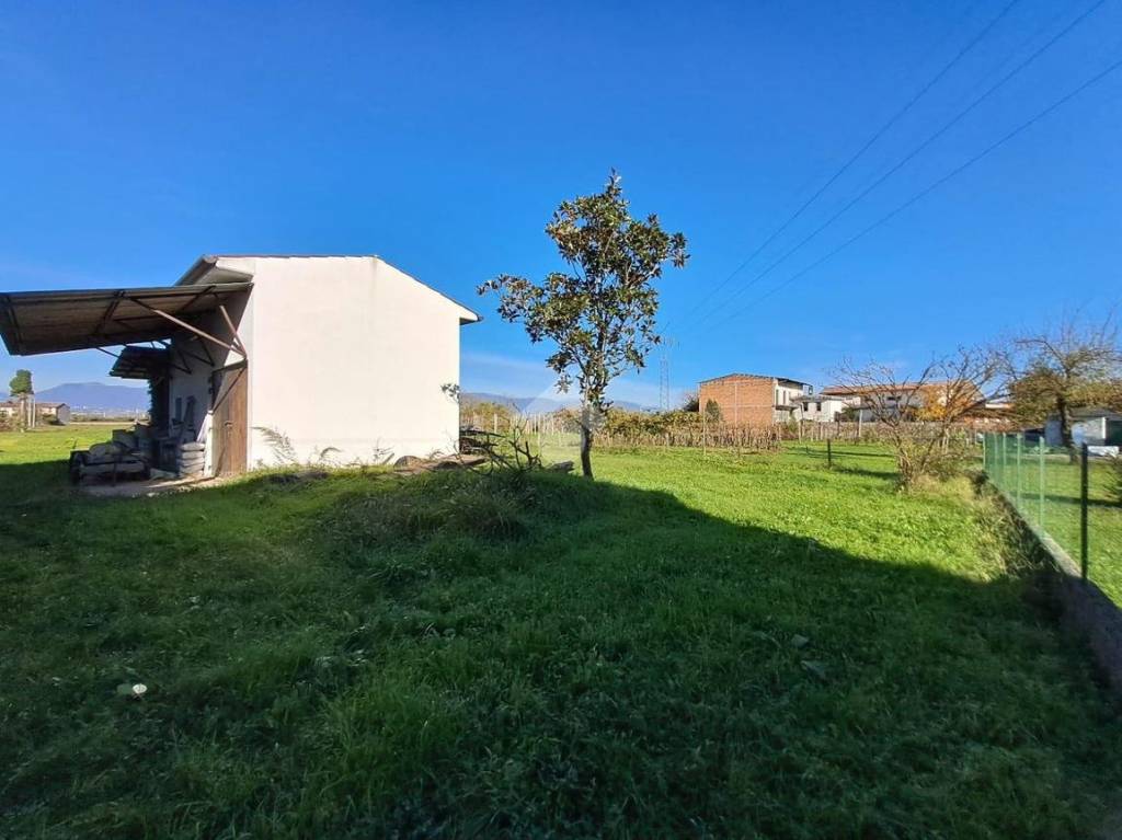 immagine annuncio 2 di 13