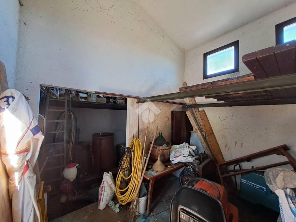 immagine annuncio 12 di 13