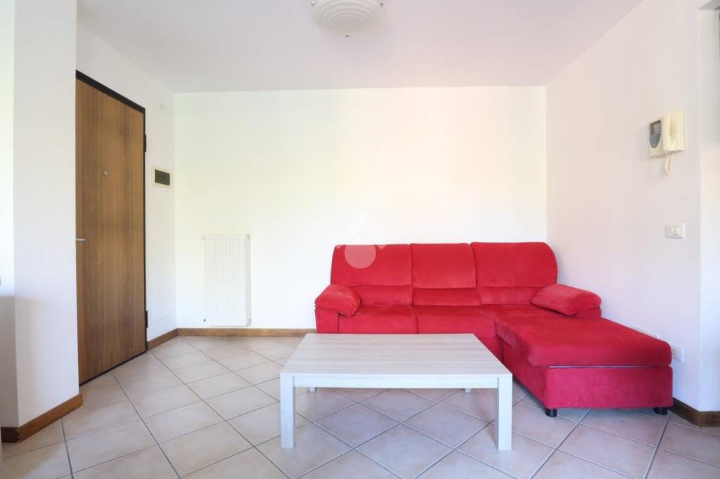 immagine annuncio 3 di 12