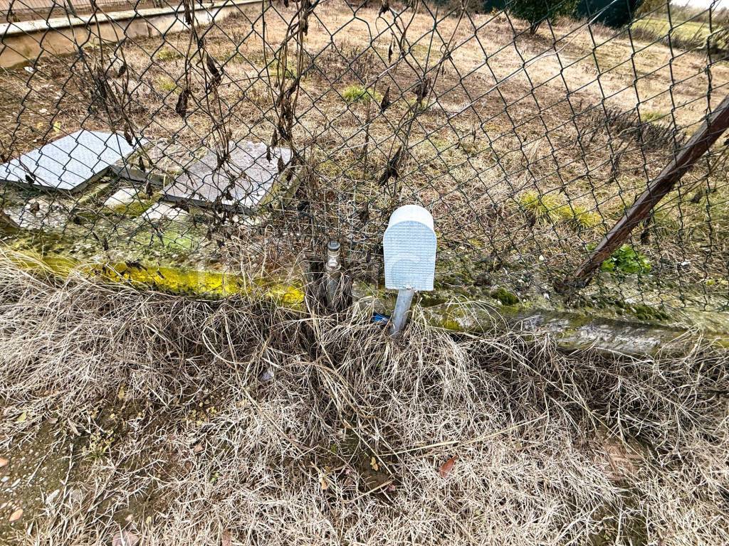 immagine annuncio 6 di 8