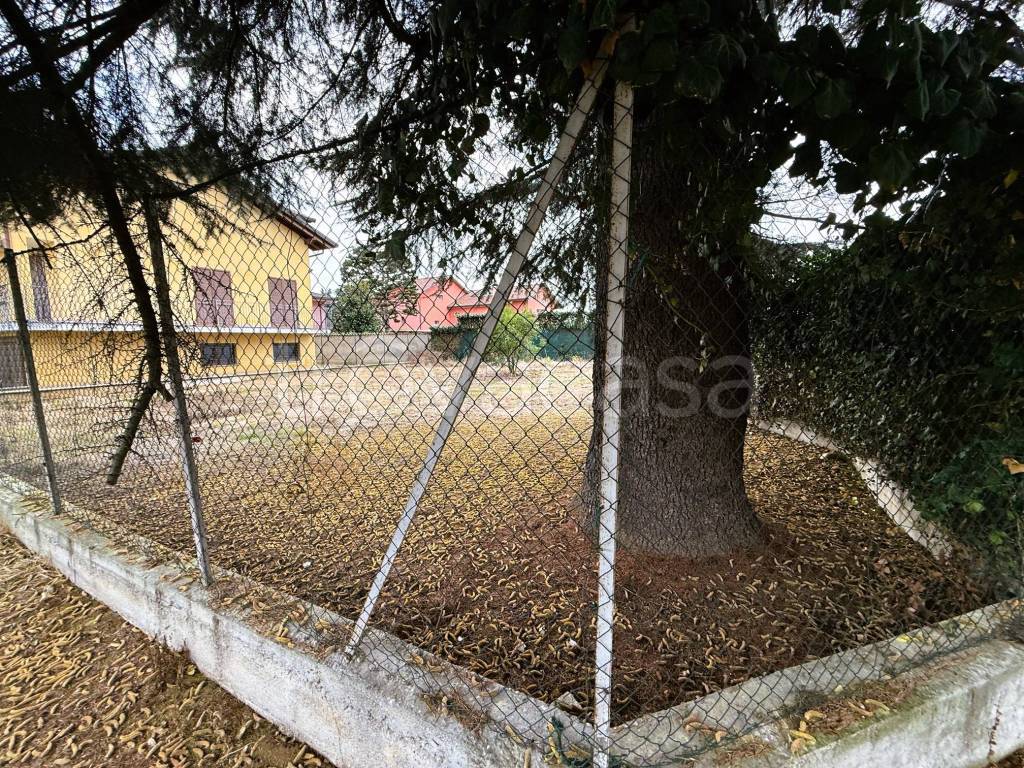 immagine annuncio 1 di 8