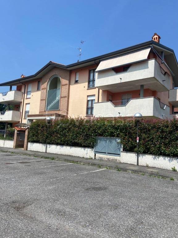 immagine annuncio 2 di 12