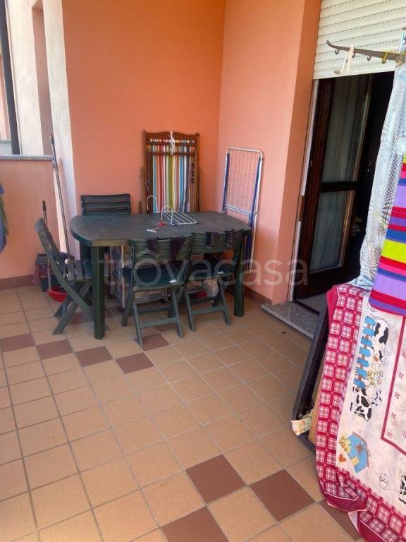 immagine annuncio 10 di 12