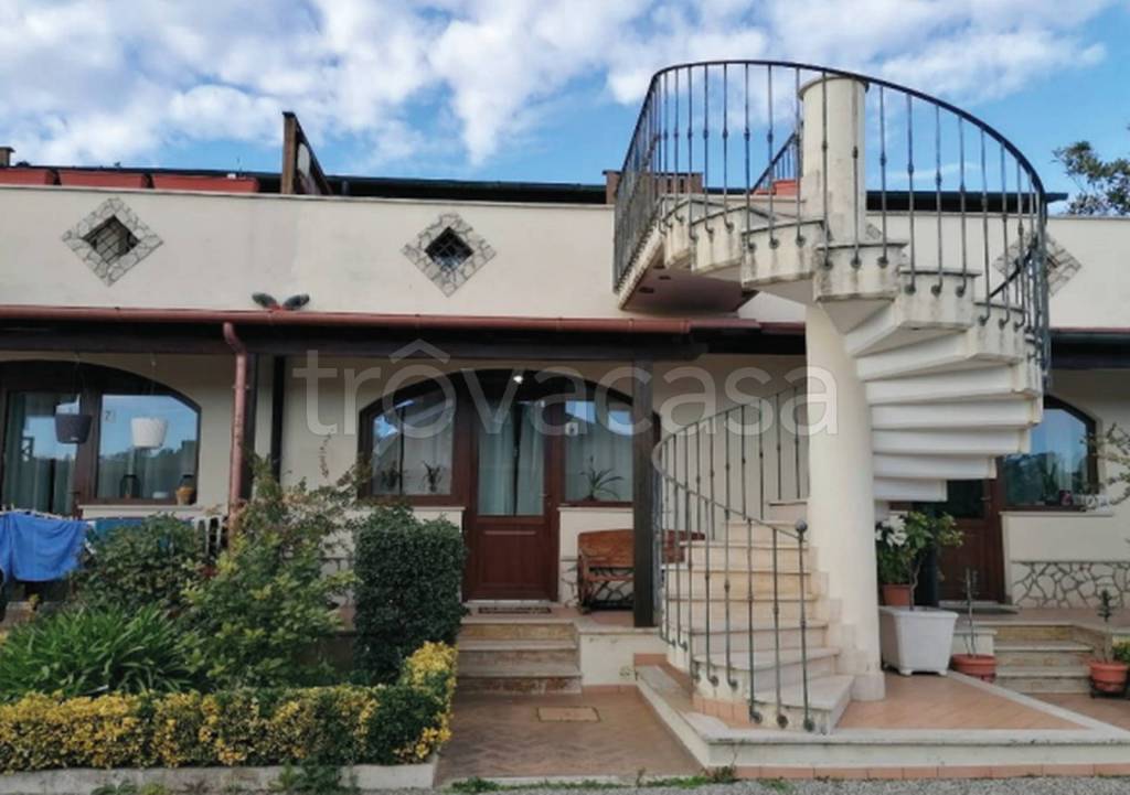 immagine annuncio 10 di 11