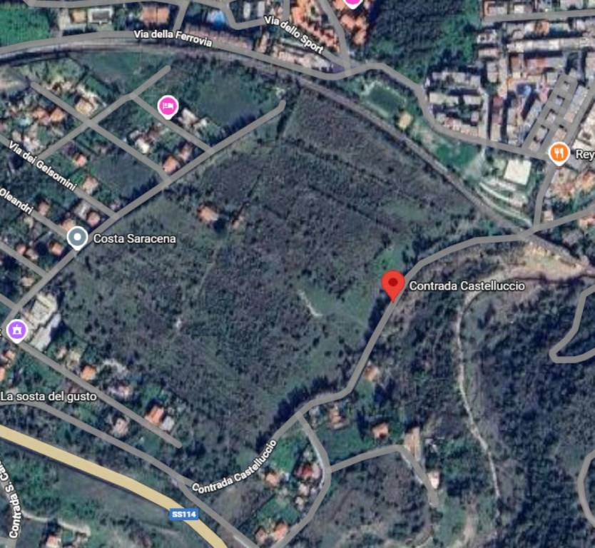 immagine annuncio 9 di 14