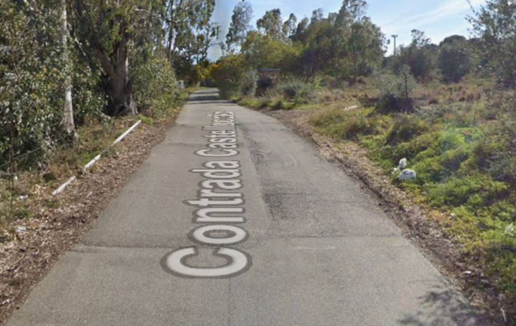 immagine annuncio 12 di 14