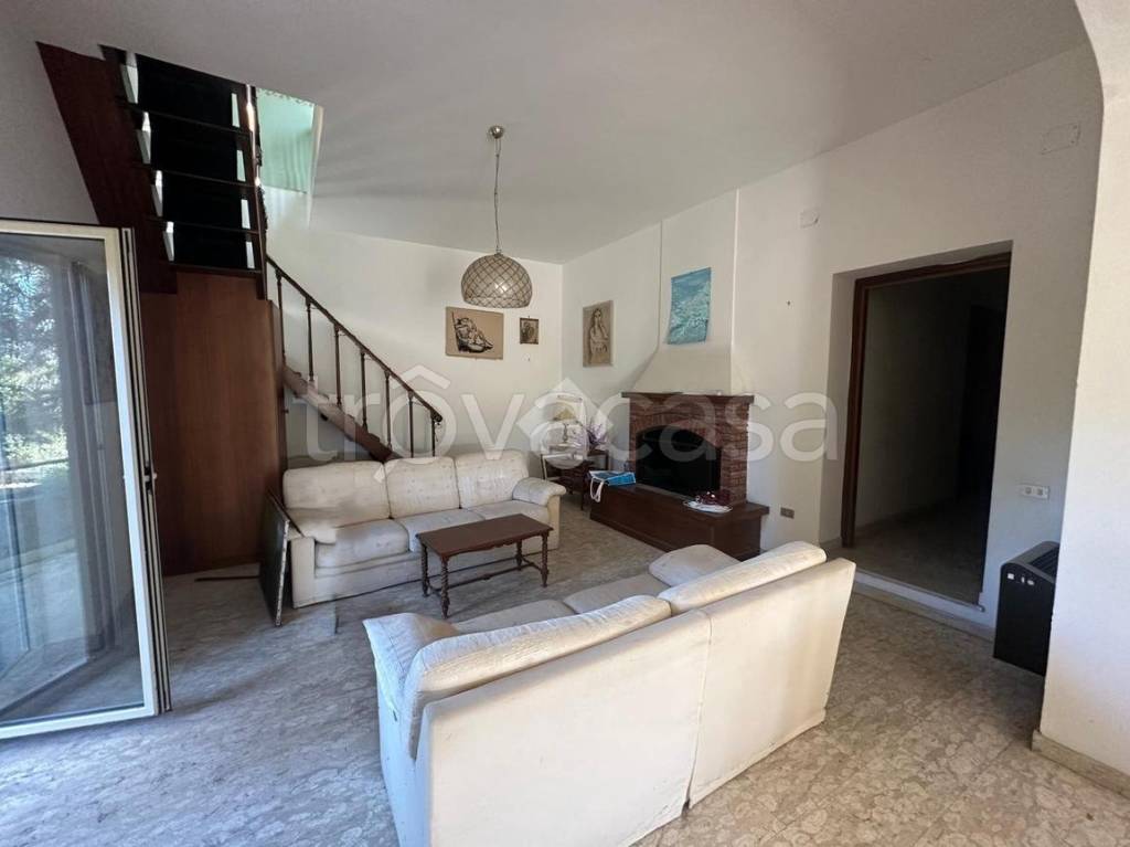 immagine annuncio 6 di 11