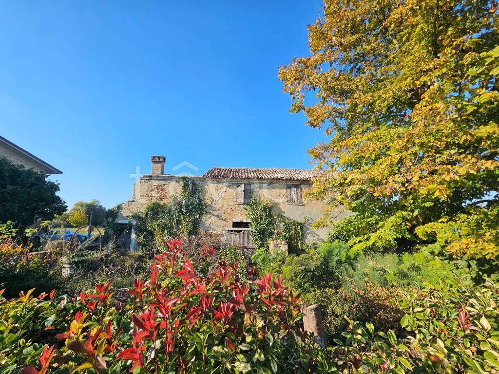 immagine annuncio 4 di 13