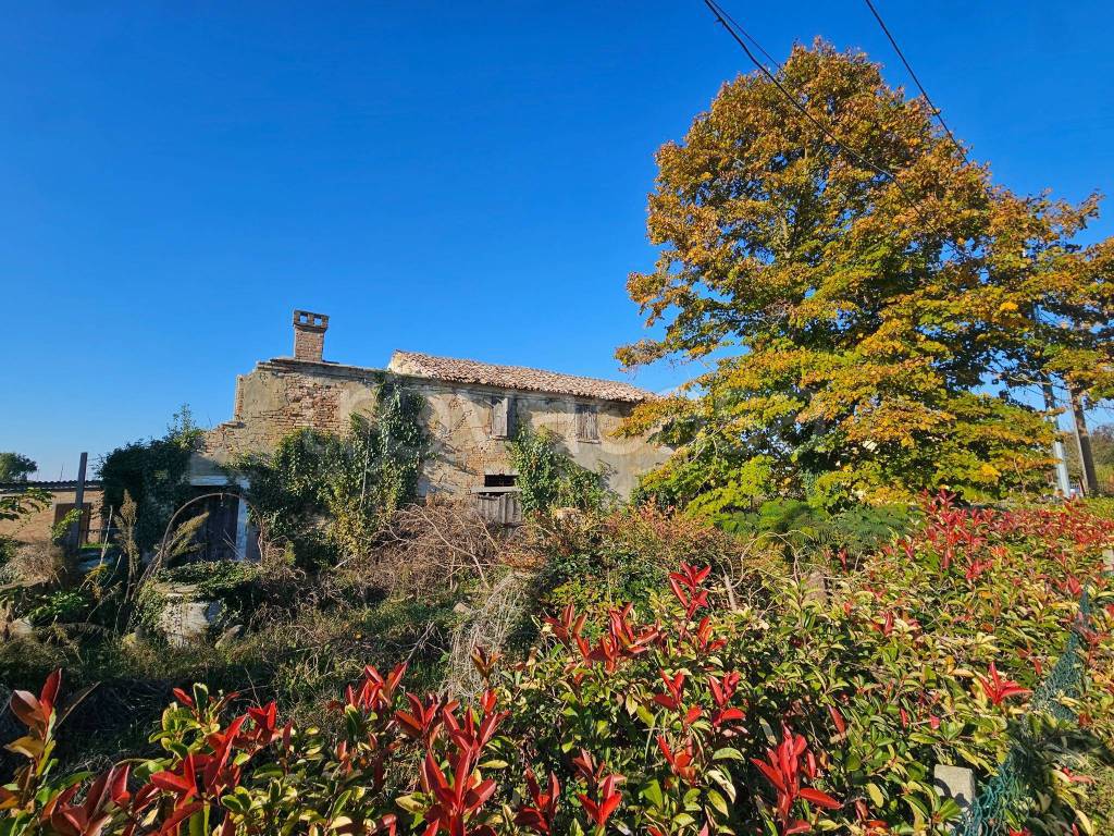 immagine annuncio 5 di 13