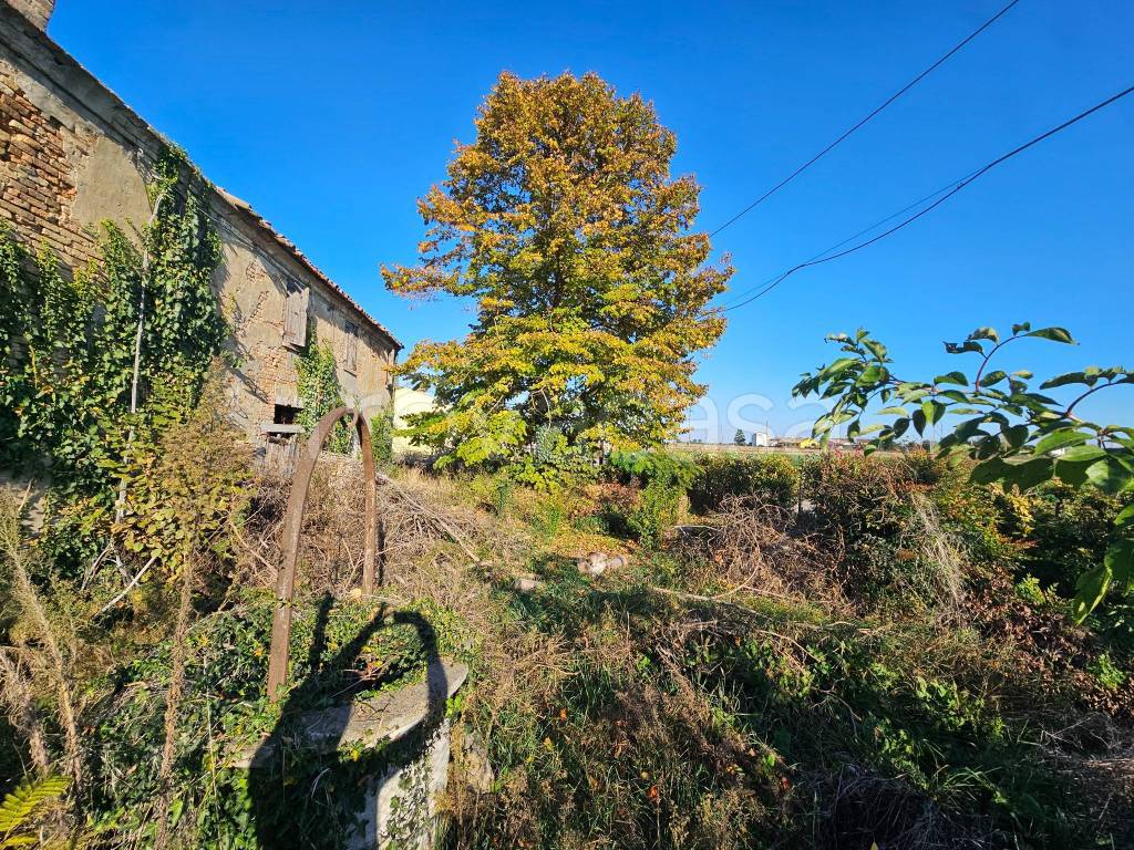 immagine annuncio 6 di 13