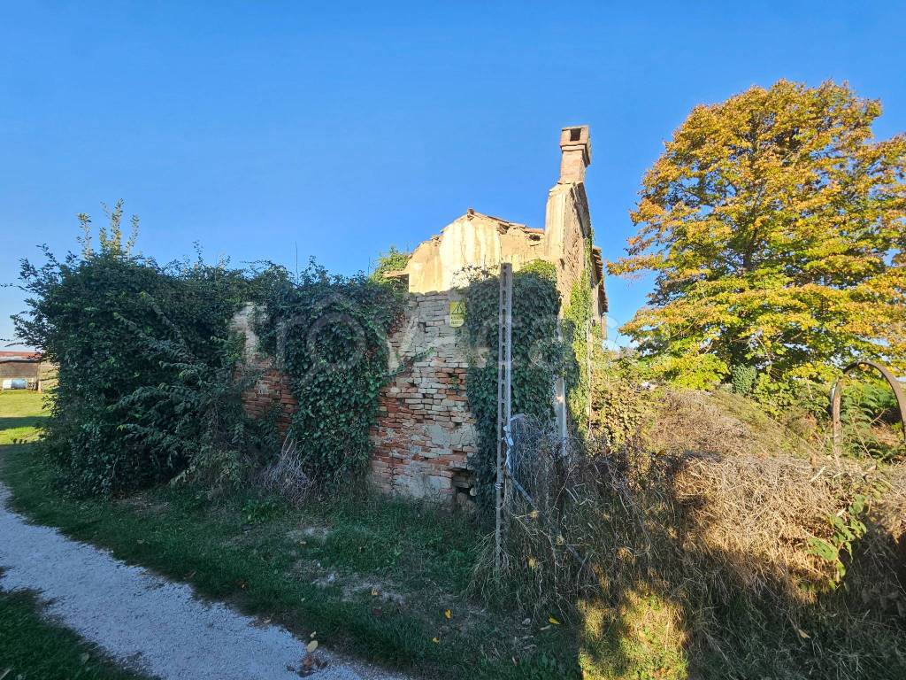 immagine annuncio 7 di 13