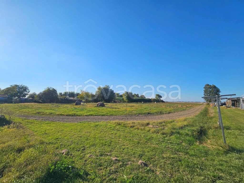 immagine annuncio 10 di 13