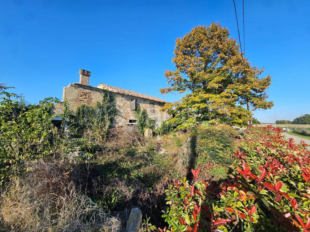 immagine annuncio 11 di 13