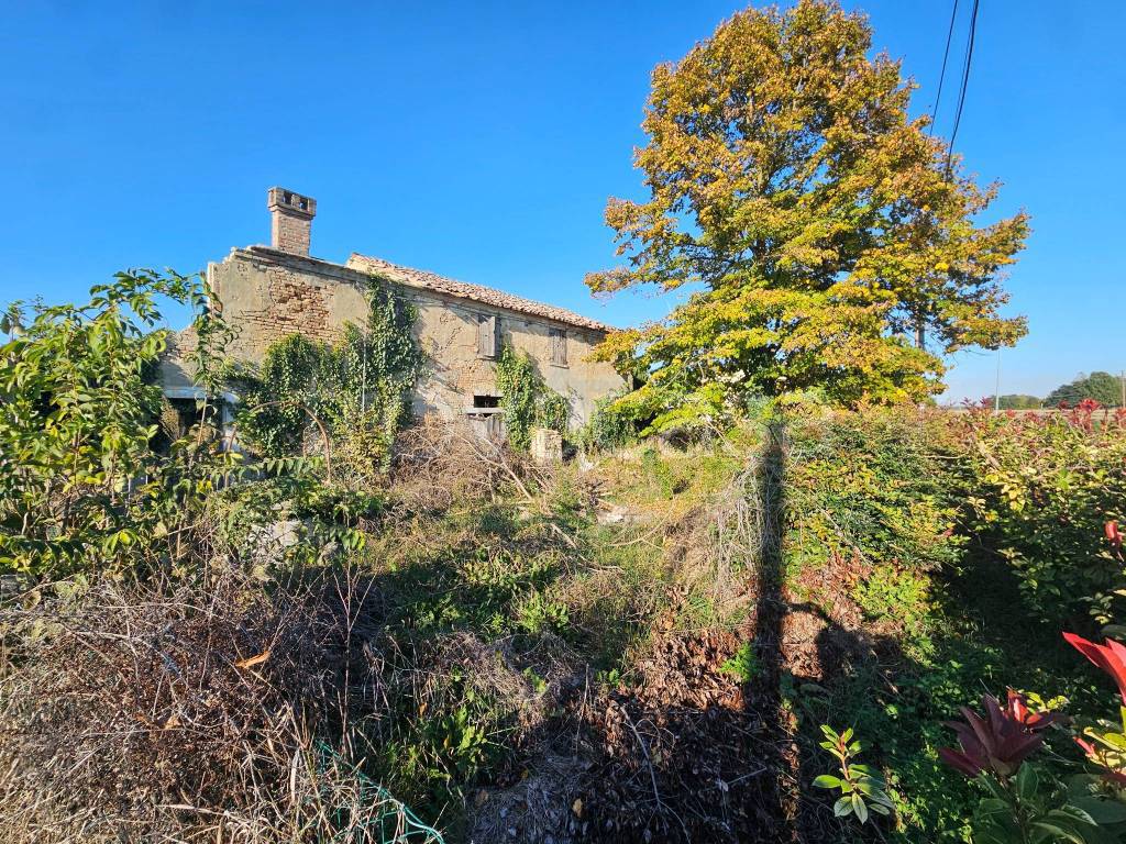 immagine annuncio 3 di 13