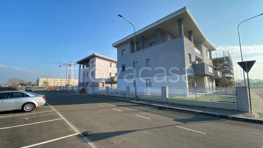 immagine annuncio 12 di 15