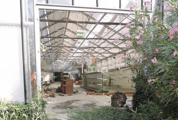 immagine annuncio 6 di 13