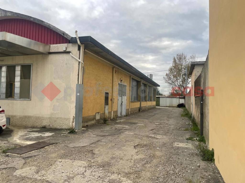 immagine annuncio 1 di 6