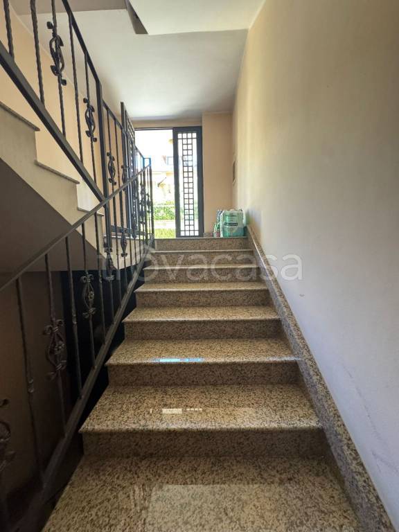 immagine annuncio 4 di 8