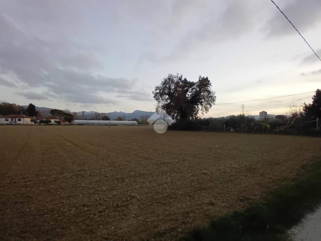 immagine annuncio 1 di 7