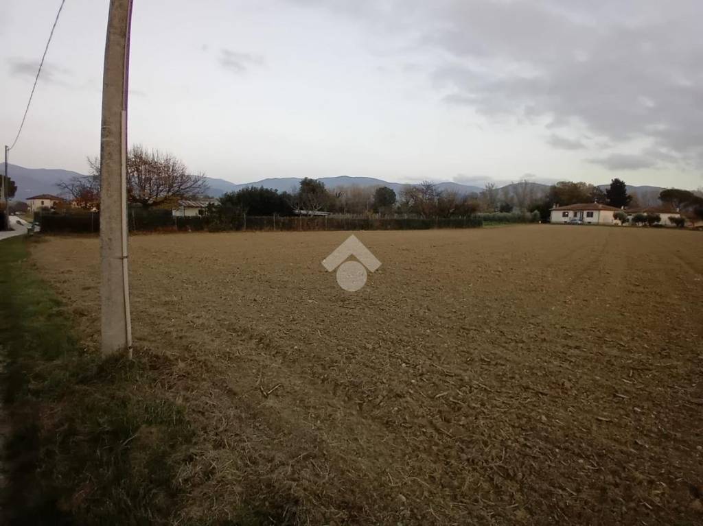 immagine annuncio 4 di 7