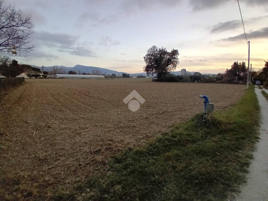 immagine annuncio 5 di 7