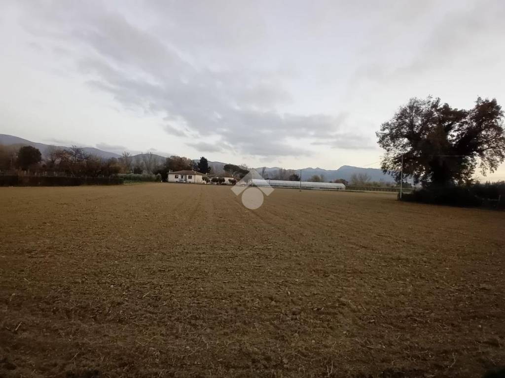 immagine annuncio 6 di 7