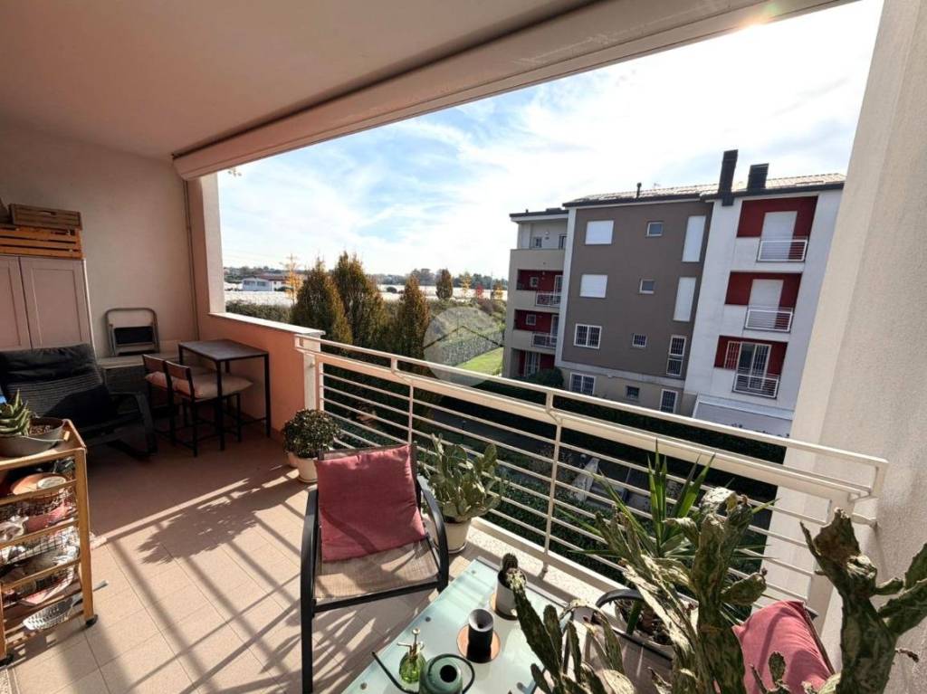 immagine annuncio 5 di 14