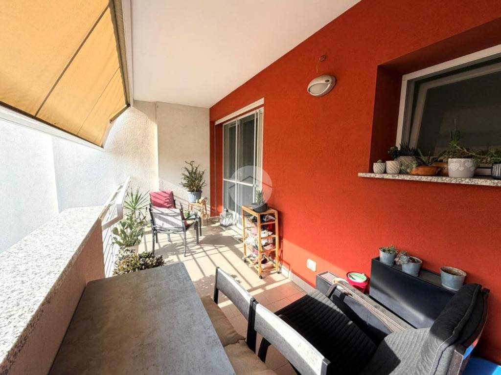 immagine annuncio 7 di 14