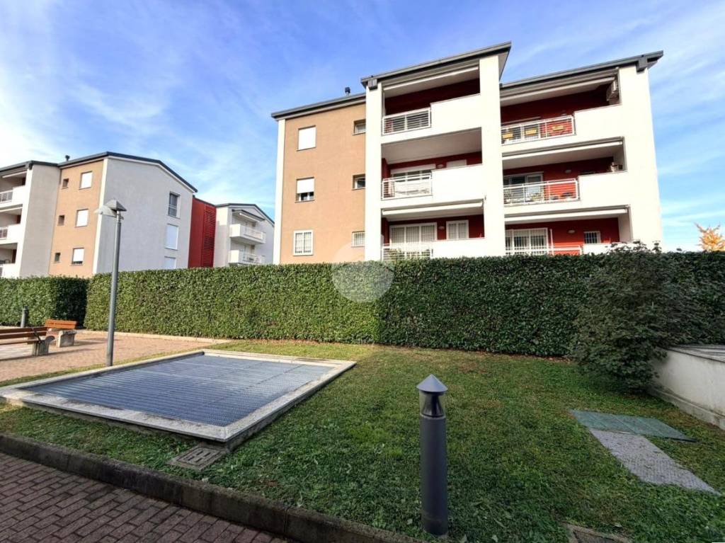 immagine annuncio 12 di 14