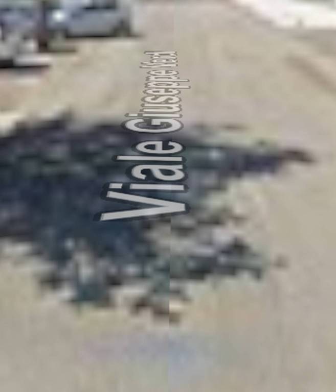 immagine annuncio 1 di 12