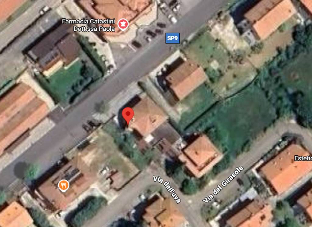 immagine annuncio 1 di 11