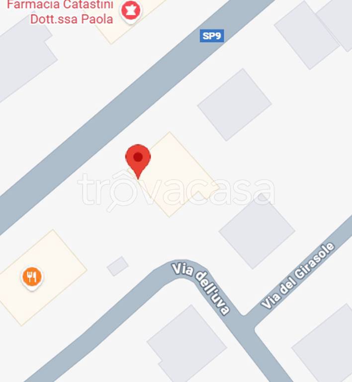 immagine annuncio 2 di 11