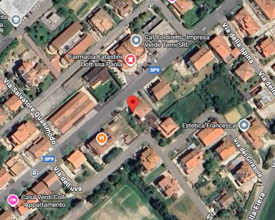 immagine annuncio 3 di 11