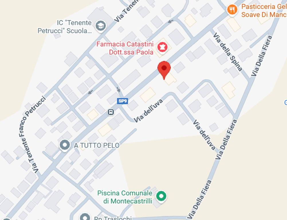 immagine annuncio 5 di 11