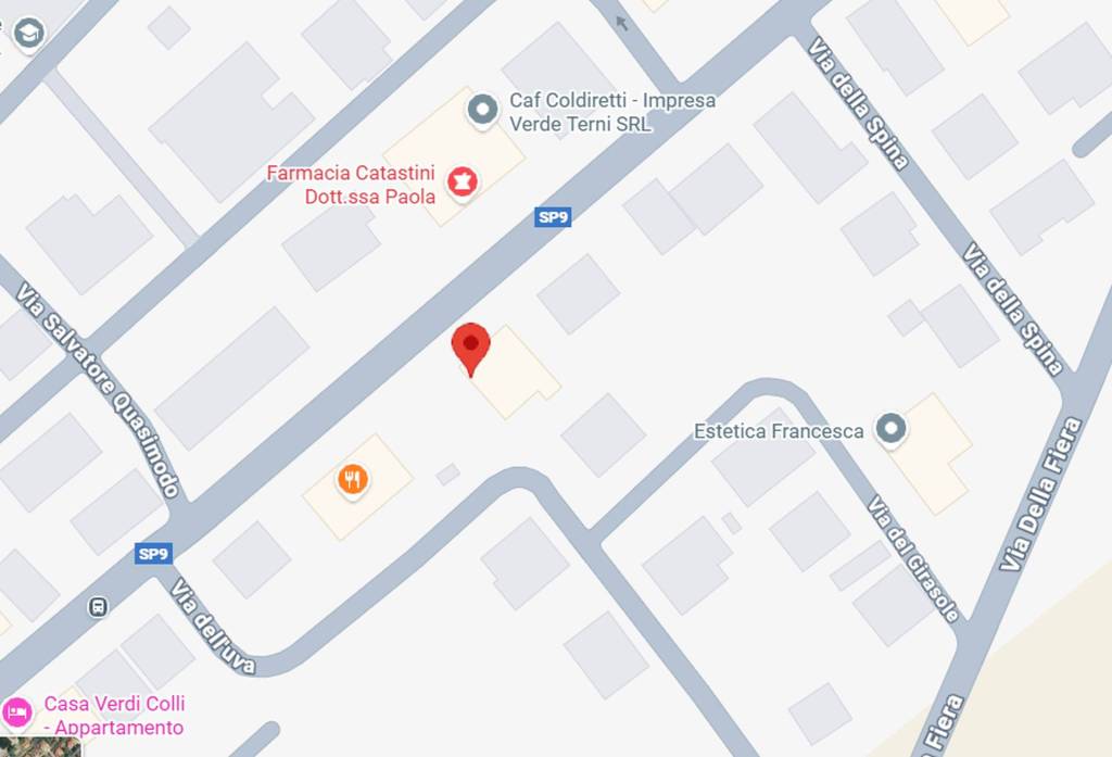 immagine annuncio 6 di 11