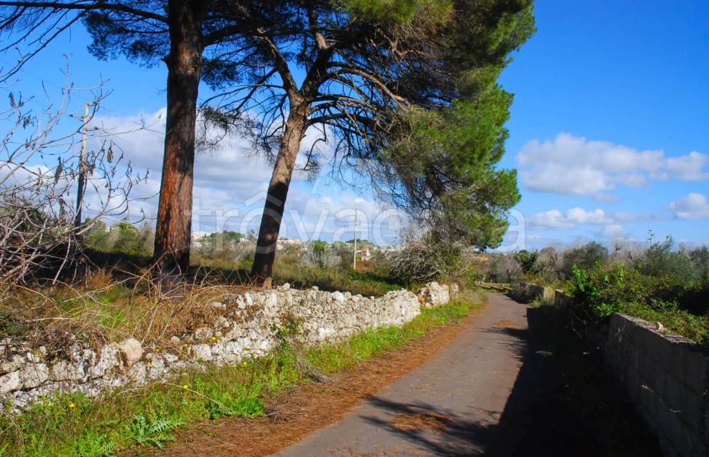 immagine annuncio 1 di 6